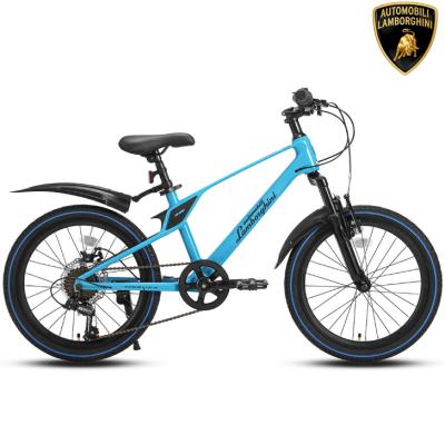 20インチ自転車（子供用自転車）（色：ブルー系）｜自転車車体｜自転車