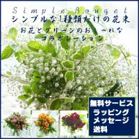 フラワーギフト 花束 バラ かすみ草 ブーケ シンプルな1種類のおしゃれなブーケ 誕生日 記念日 お祝い 無料メッセージ ラッピング無料 送料無料 アートフラワー Partnershop 005 花屋パルテールの楽しいギフト案内 通販 Yahoo ショッピング