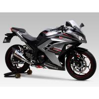 ヨシムラ Ninja250/ABS・Z250用　Sip-On R-11 サイクロン 1エンド EXPORT SPEC政府認証[STB]　110-227-5E80B | パーツボックス2号店