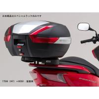 【5月28日出荷】デイトナ フォルツァ Si/ABS(MF12)('13)用　GIVI SR1123 スペシャルラック　90591 | パーツボックス5号店