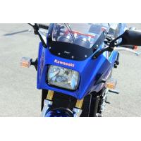 POSH GPZ900R(ALL)用　LEDコンバージョンキット フロントボジションレス(S球)仕様[クリアーレンズ]　P033108 | パーツボックスシステムジャパン