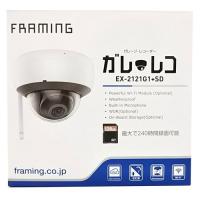 FRAMING(フレーミング) 事務用品 ガレレコ SDカード128GB付 EX-2121G1+SD | パーツダイレクト店