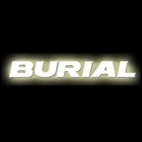 BURIAL(ベリアル) バイク 駆動系 強化センタースプリング 7%UP アドレスV125用 S08-50-03 | パーツダイレクト店
