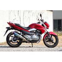 GSR250 2本出しマフラー（バイク用フルエキゾースト）｜マフラー