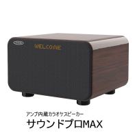 東京企画販売 アンプ内蔵カラオケスピーカー サウンドプロMAX TKMI-008 | へるしー99BOX