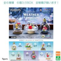 PEANUTS SNOOPY WEATHER terrarium 全6種 6個入りBOX リーメント 新品 未開封 全6種類 全部揃います Re-Ment | パソコン屋ショッピングヤフー店