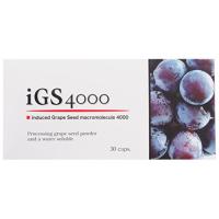 iGS4000 | パウパウショップ