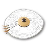 猫壱 キャッチ・ミー・イフ・ユー・キャン2 猫のお庭 NE-4580471867945 犬猫用品 | PCあきんど