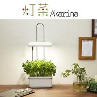 LED水耕栽培 植物育成器 灯菜（アカリーナ） 野菜 ハーブ お花 オリンピア照明 OMA15 | PCあきんど