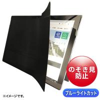 サンワサプライ LCD-ZE2LN109IPAD 2WAY覗き見防止フィルム（iPad 10.9インチ対応） | PC&家電CaravanYU Yahoo!店