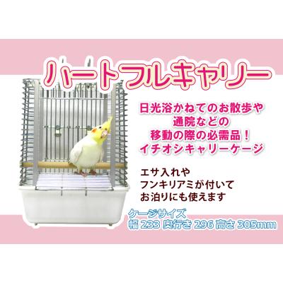 インコ専門店ぺありー - キャリー・プラケ｜Yahoo!ショッピング