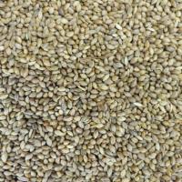 フォニオパディ 120g アミノ酸、ビタミン、ミネラルが豊富なスーパーシード 黒瀬ペットフード とりきち横町  鳥 インコ 餌 副食 おやつ | インコ専門店ぺありー