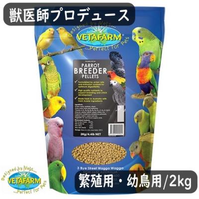 インコ専門店ぺありー - VETAFARM(ベタファーム)|Yahoo インコ専門店ぺありー - VETAFARM(ベタファーム)|Yahoo