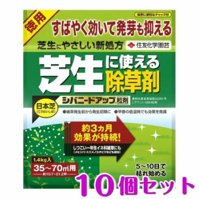 カラスノエンドウの商品一覧 通販 - Yahoo!ショッピング