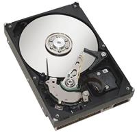 Fujitsu MBA3147RC 15K 147GB SAS Hard Drive by Fujitsu [並行輸入品] | PENNY LANE