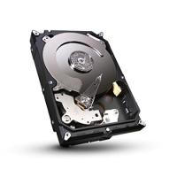 Seagate ST31000524AS 3.5 inch Barracuda 1TB GB 7200rpm SATA Drive with 32MB | PENNY LANE