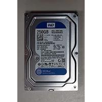 250GB SATA ウェスタンデジタルキャビアブルー 6Gbps 7200RPM 16MB 3.5インチ Oem WD2500AAKX - 今月はホ | PENNY LANE