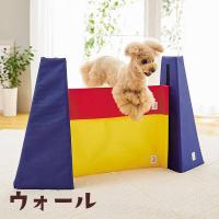 犬おもちゃ Ｓｉｐｐｏｌｅアジリティ ウォール　犬 いぬ おもちゃ あじりてぃ 室内用アジリティ 運動 室内 遊び わんこ ペット ペピイ PEPPY | PEPPY ペピイ Yahoo!店