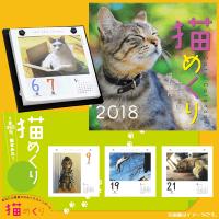 猫めくりカレンダー 2018  日めくり  にゃんこ 卓上カレンダー スタンド付 