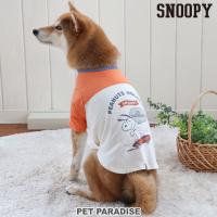 犬 服 おしゃれ ブランド Ｔシャツ 着せやすい 猫 〔 中型犬 大型犬 〕 春 | スヌーピー スケボー ホワイト メール便可 | ペットパラダイス