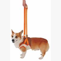 ペティオ 老犬介護用 歩行補助ハーネス 前足用 Lサイズ（15kgまでの中型犬用 サポート） | ペット用品のPePet