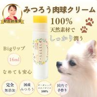 獣医師推奨 大容量 Bigリップ みつろう肉球クリーム犬猫用 My Cute Family 国産 手作り 完全無添加