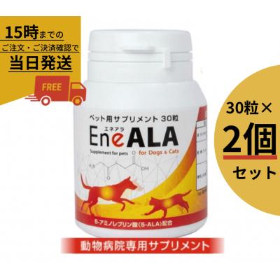 エネアラのおすすめ人気商品一覧 通販 - Yahoo!ショッピング
