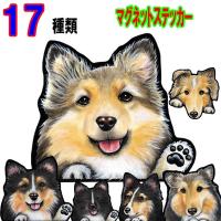 犬 ステッカー シェルティ シール シェットランドシープドッグ 可愛い 車 壁 玄関 オーダー グッズ プレゼント ドッグ イラスト シルエット かわいい 顔 7 4s ステッカーグッズのペットちゃん 通販 Yahoo ショッピング