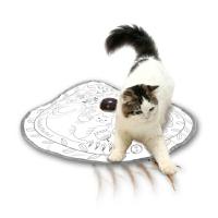 ◇猫壱 DC-0351-AE21 キャッチ・ミー・イフ・ユー・キャン2 猫のお庭 猫用 おもちゃ ねこじゃらし | ペットフォレストヤフー店