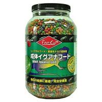 ◇ビバリア 成体イグアナフード 1.13Kg | ペットフォレストヤフー店