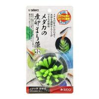 ◇スドー メダカの産卵まり藻(小)マツモ  S-5808 | ペットフォレストヤフー店