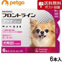 【ネコポス(同梱不可)】犬用フロントラインプラスドッグXS 5kg未満 6本（6ピペット）（動物用医薬品） | ペットゴー 2号館 ヤフー店