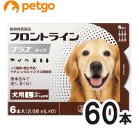 【10箱セット】犬用フロントラインプラスドッグL 20kg〜40kg 6本（6ピペット）（動物用医薬品） | ペットゴー 3号館 ヤフー店