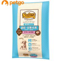 ニュートロ ナチュラルチョイス 避妊・去勢犬用 超小型犬〜小型犬用 成犬用 生後8ヶ月以上 チキン＆玄米 6kg | ペットゴー ヤフー店