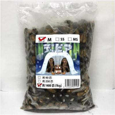 デュビアのおすすめ人気ランキングTOP100 - Yahoo!ショッピング