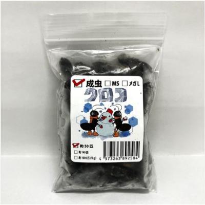 冷凍コオロギのおすすめ人気ランキングTOP100 - Yahoo!ショッピング