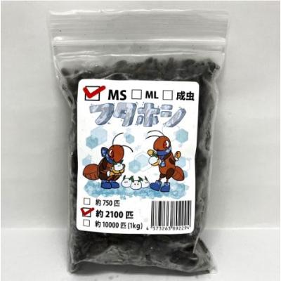 フタホシコオロギのおすすめ人気商品一覧 通販 - Yahoo!ショッピング