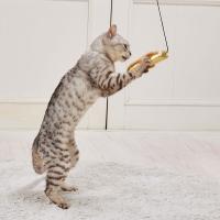 猫用おもちゃ アドメイト Add.Mate 猫用おもちゃ キラキラじゃらし 黄金のウツボ 全年齢 全猫種 | PETIO Online Shop ヤフー店
