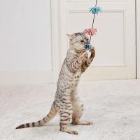 猫用おもちゃ アドメイト Add.Mate 猫用おもちゃ スティックじゃらし ぽんぽんたんぽぽ 全年齢 全猫種 | PETIO Online Shop ヤフー店