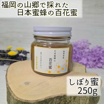 日本ミツバチ 蜂蜜 幻の百花蜜のおすすめ人気商品一覧 通販 - Yahoo
