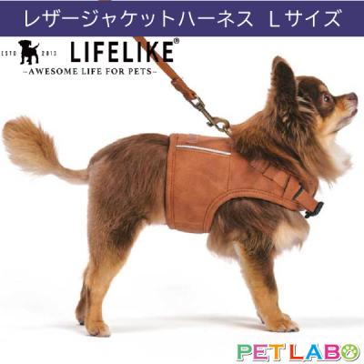 レザージャケット（ペット用品、生き物）の商品一覧 通販 - Yahoo