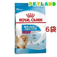 ロイヤルカナン サイズ ヘルス ニュートリション ミニインドア パピー ( 2kg*6コセット )/ ロイヤルカナン(ROYAL CANIN) ( ドッグフード ) | ペットランドYahoo!店