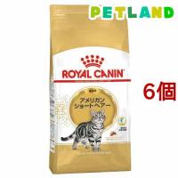 ロイヤルカナンFBN アメリカンショートヘアー 成猫用 ( 2kg*6コセット )/ ロイヤルカナン(ROYAL CANIN) ( キャットフード ) | ペットランドYahoo!店