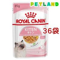 ロイヤルカナン フィーライン ヘルスニュートリション ウェット ゼリー キトン ( 85g*36コセット )/ ロイヤルカナン(ROYAL CANIN) ( キャットフード ) | ペットランドYahoo!店