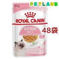 ロイヤルカナン フィーライン ヘルスニュートリション ウェット ゼリー キトン ( 85g*48コセット )/ ロイヤルカナン(ROYAL CANIN) ( キャットフード ) | ペットランドYahoo!店