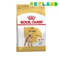 ロイヤルカナン ブリードヘルスニュートリション プードル 成犬用 ( 1.5kg )/ ロイヤルカナン(ROYAL CANIN) ( ドッグフード ) | ペットランドYahoo!店