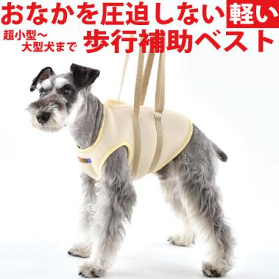ミニチュアダックス ハーネス（犬用ヘルスケア、介護用品）｜犬