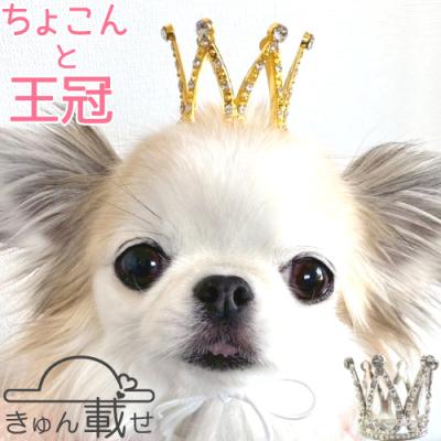 犬 ヘアゴム（色：ゴールド系）の商品一覧 通販 - Yahoo!ショッピング