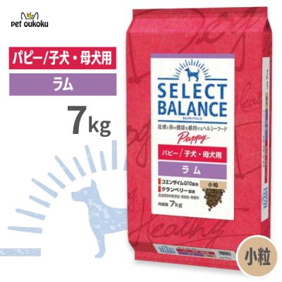 セレクトバランス ドッグフード ラム（SELECT BALANCE）の商品一覧