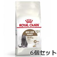 6個セット ロイヤルカナン エイジング ステアライズド 12+（避妊・去勢で太りやすい猫専用フード 高齢猫用）2kg×6個セット | ペッツマム 2号店